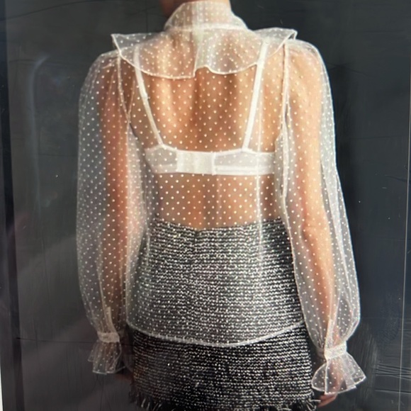 NWT Anthropologie Dolan Sheer Top, size 3x - Picture 5 of 11